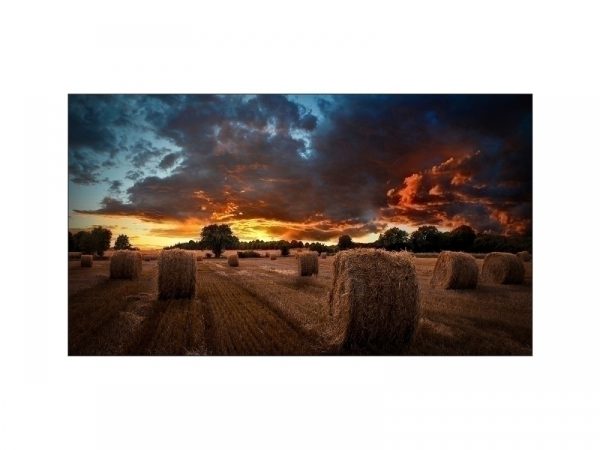 VIDEOWALL MONITOR SAMSUNG IPS 55 INC FHD 1920X1080 24/7 500NITS Displays Samsung